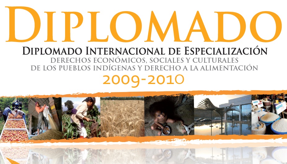 banner pueblos indígenas 2009