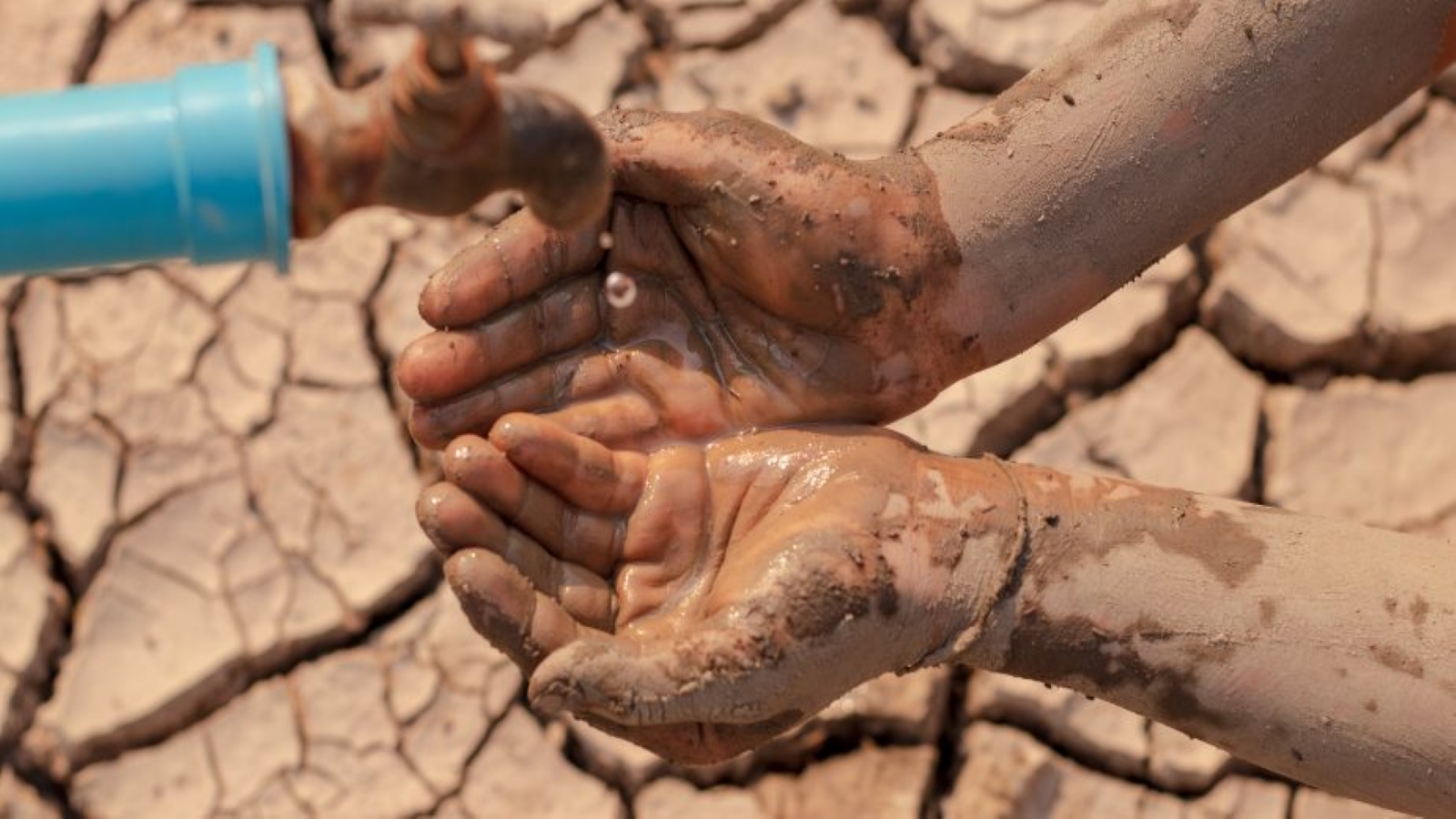 Derechos Humanos, Medio Ambiente, Crisis Climática y Políticas Públicas